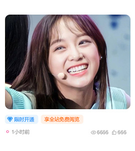 查看VIP-戏子娱乐